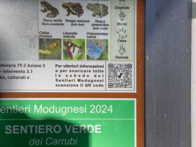 Noi seguiamo il �Sentiero verde dei carrubi�...

